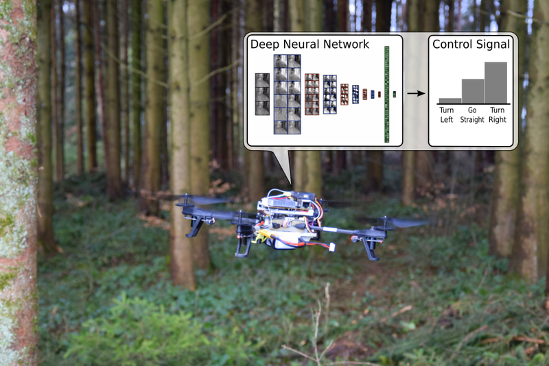 Illustration for article titled These Rescue Drones Search Forest Trails Like Robot Rangers